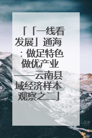 「一线看发展」通海：做足特色 做优产业——云南县域经济样本观察之二