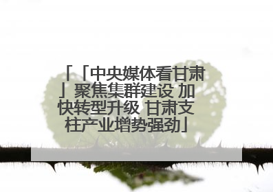 「中央媒体看甘肃」聚焦集群建设 加快转型升级 甘肃支柱产业增势强劲