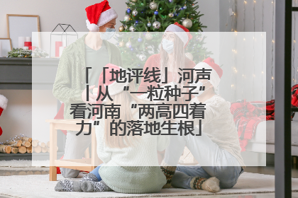 「地评线」河声丨从“一粒种子”看河南“两高四着力”的落地生根