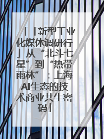 「新型工业化媒体调研行」从“北斗七星”到“热带雨林”：上海AI生态的技术商业共生密码