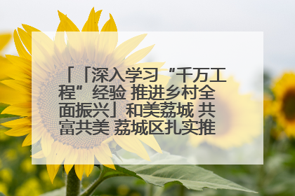 「深入学习“千万工程”经验 推进乡村全面振兴」和美荔城 共富共美 荔城区扎实推进乡村振兴工作