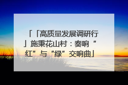 「高质量发展调研行」施秉花山村：奏响“红”与“绿”交响曲
