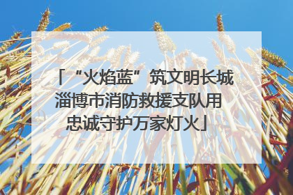 “火焰蓝”筑文明长城 淄博市消防救援支队用忠诚守护万家灯火