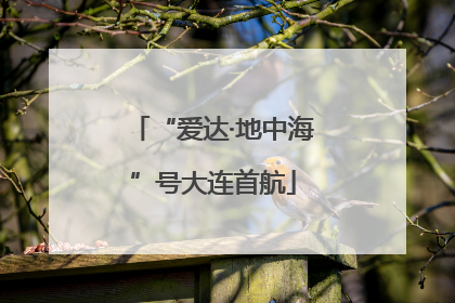 “爱达·地中海”号大连首航
