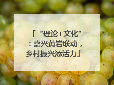 “理论+文化”：嘉兴黄岩联动，乡村振兴添活力