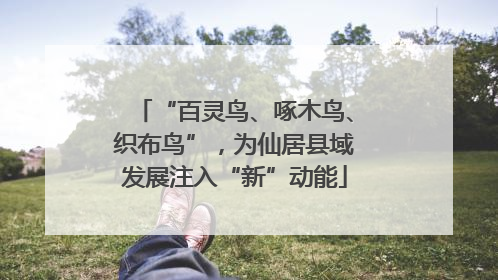 “百灵鸟、啄木鸟、织布鸟”，为仙居县域发展注入“新”动能
