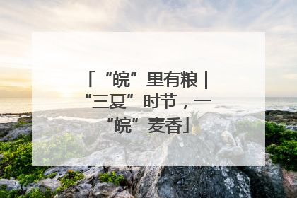 “皖”里有粮｜“三夏”时节，一“皖”麦香