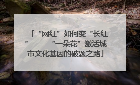 “网红”如何变“长红”——“一朵花”激活城市文化基因的破题之路