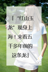 “红山玉龙”现身上海！来看五千多年前的这条龙