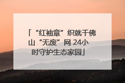 “红袖章”织就千佛山“无废”网 24小时守护生态家园