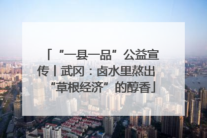 “一县一品”公益宣传丨武冈：卤水里熬出“草根经济”的醇香