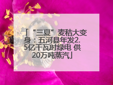 “三夏”麦秸大变身：五河县年发2.5亿千瓦时绿电 供20万吨蒸汽