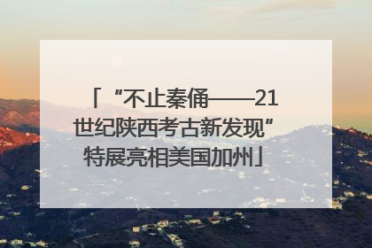 “不止秦俑——21世纪陕西考古新发现”特展亮相美国加州