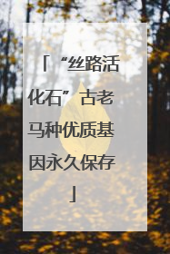 “丝路活化石”古老马种优质基因永久保存