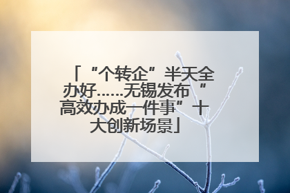 “个转企”半天全办好……无锡发布“高效办成一件事”十大创新场景