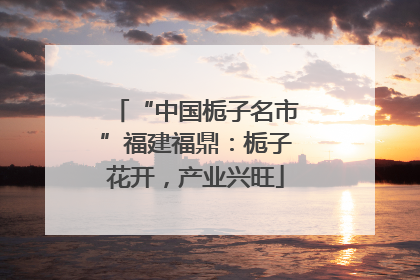“中国栀子名市”福建福鼎：栀子花开，产业兴旺