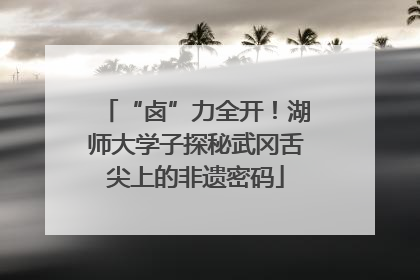 “卤”力全开！湖师大学子探秘武冈舌尖上的非遗密码