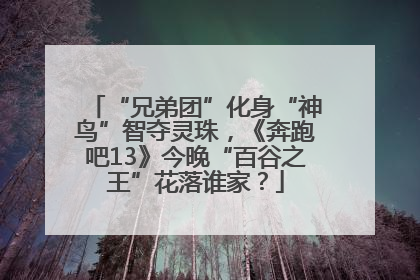 “兄弟团”化身“神鸟”智夺灵珠，《奔跑吧13》今晚“百谷之王”花落谁家？