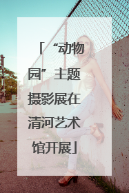 “动物园”主题摄影展在清河艺术馆开展