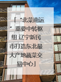 “北菜南运”重要中转枢纽 辽宁新民市打造东北最大产地蔬菜交易中心