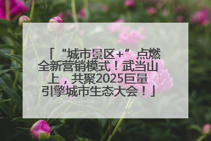 “城市景区+”点燃全新营销模式！武当山上，共聚2025巨量引擎城市生态大会！