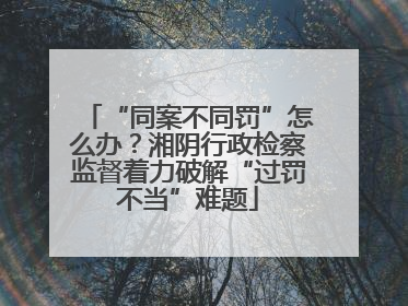 “同案不同罚”怎么办？湘阴行政检察监督着力破解“过罚不当”难题