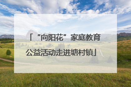 “向阳花”家庭教育公益活动走进塘村镇