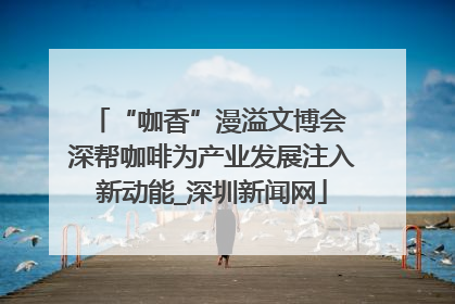“咖香”漫溢文博会 深帮咖啡为产业发展注入新动能_深圳新闻网