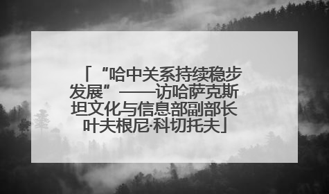 “哈中关系持续稳步发展”——访哈萨克斯坦文化与信息部副部长叶夫根尼·科切托夫