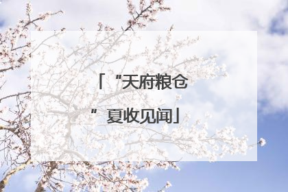 “天府粮仓”夏收见闻