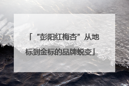 “彭阳红梅杏”从地标到金标的品牌蜕变
