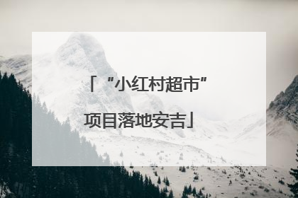 “小红村超市”项目落地安吉