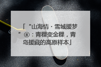 “山海情・雪域援梦”⑧：青稞变金稞，青岛援藏的高原样本