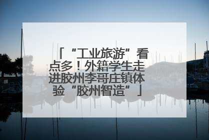 “工业旅游”看点多！外籍学生走进胶州李哥庄镇体验“胶州智造”