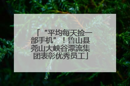 “平均每天捡一部手机”！鲁山县尧山大峡谷漂流集团表彰优秀员工