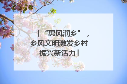 “惠风润乡”，乡风文明激发乡村振兴新活力