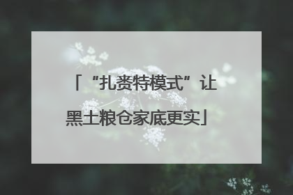 “扎赉特模式”让黑土粮仓家底更实