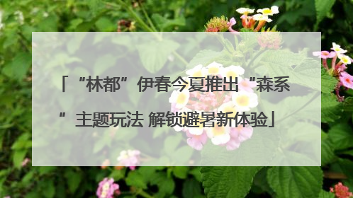 “林都”伊春今夏推出“森系”主题玩法 解锁避暑新体验