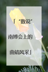 “数说”南博会上的曲靖风采