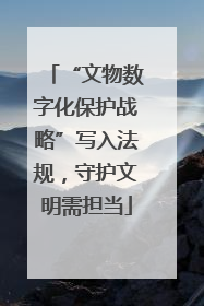 “文物数字化保护战略”写入法规，守护文明需担当