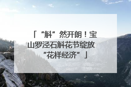 “斛”然开朗！宝山罗泾石斛花节绽放“花样经济”
