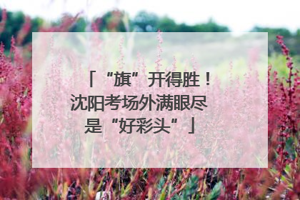 “旗”开得胜！沈阳考场外满眼尽是“好彩头”