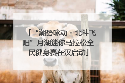 “潮势咏动・北斗飞阳”月湖迷你马拉松全民健身赛在汉启动