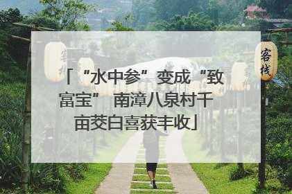 “水中参”变成“致富宝” 南漳八泉村千亩茭白喜获丰收
