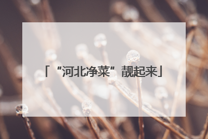 “河北净菜”靓起来