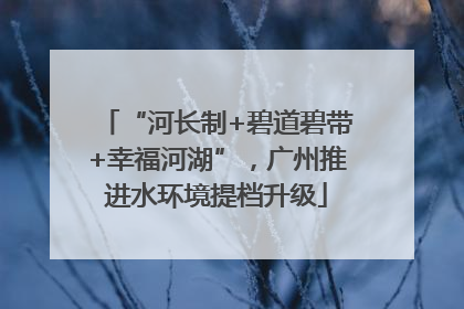 “河长制+碧道碧带+幸福河湖”，广州推进水环境提档升级