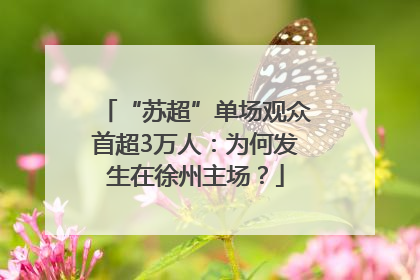 “苏超”单场观众首超3万人：为何发生在徐州主场？