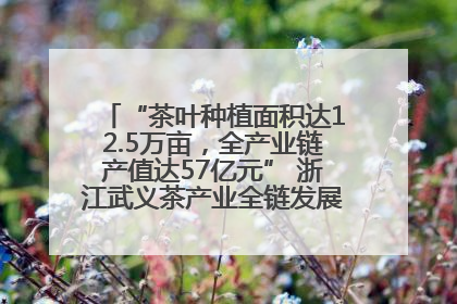 “茶叶种植面积达12.5万亩，全产业链产值达57亿元” 浙江武义茶产业全链发展“加速度”