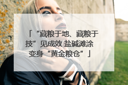 “藏粮于地、藏粮于技”见成效 盐碱滩涂变身“黄金粮仓”
