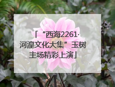 “西海2261·河湟文化大集”玉树主场精彩上演
